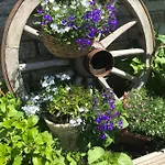 Waldhaus Lechner Steinerkogel Homestay