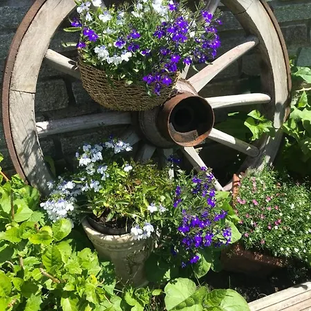 Waldhaus Lechner Steinerkogel Homestay