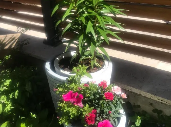 Waldhaus Lechner Steinerkogel מאיירהופן